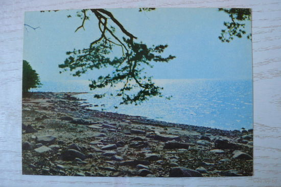 Прибалтика, Латвийская ССР, Море у Скулте; чистая.