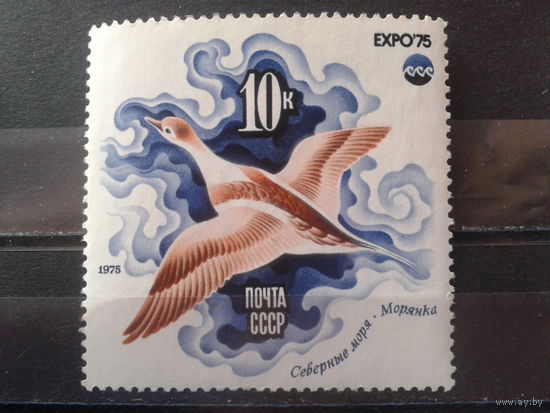 1975 Морянка**