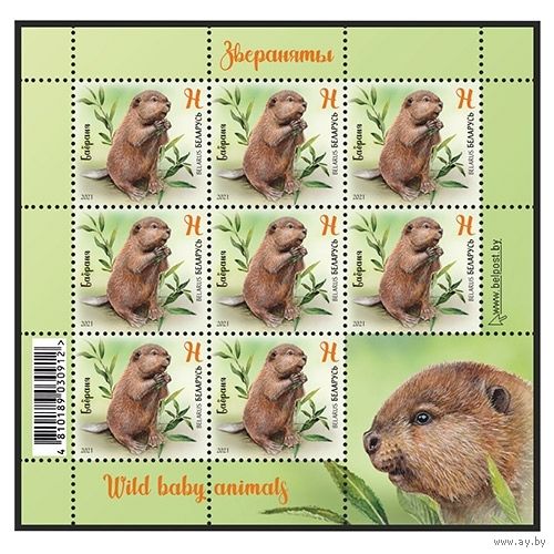 Беларусь 2021 малый лист  "Бобренок" MNH