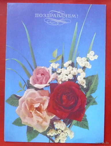 Поздравляем! Чистая. 1992 года. Дергилева. 1306.