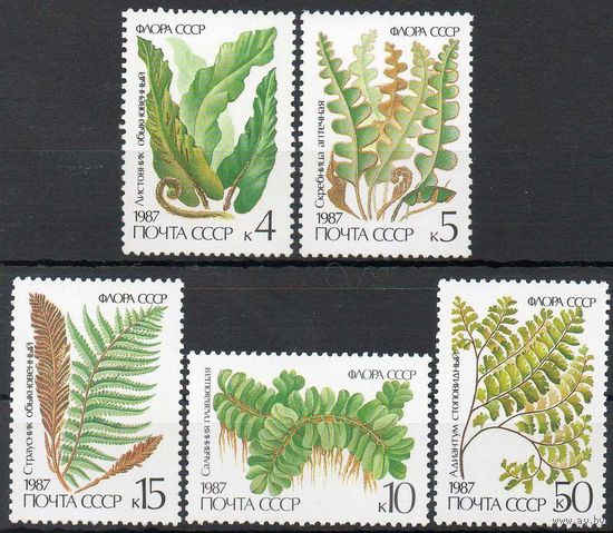 Папоротники СССР 1987 год (5846-5850) серия из 5 марок