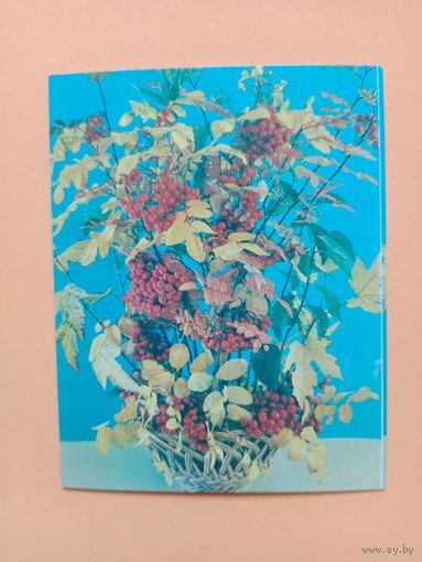 Открытка мини,1984
