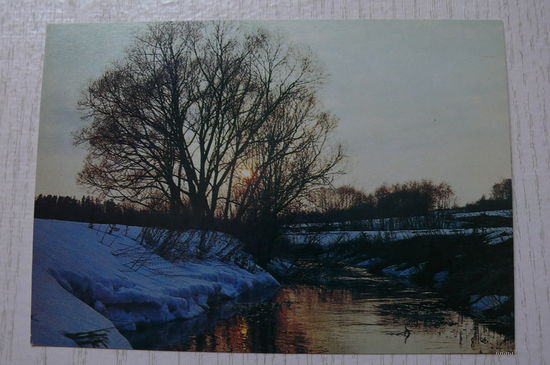 Сафонова С., Апрель; 1983, чистая.