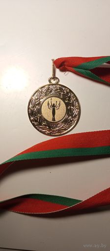 Медаль за участие Спартакиада АП РБ 2011 Золото