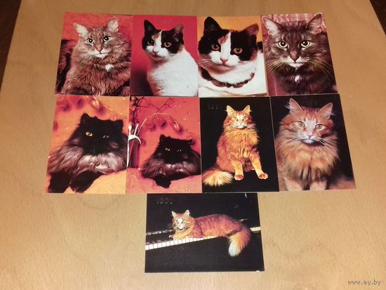 Календарики 1991 Кошки. Коты. 9 шт. одним лотом