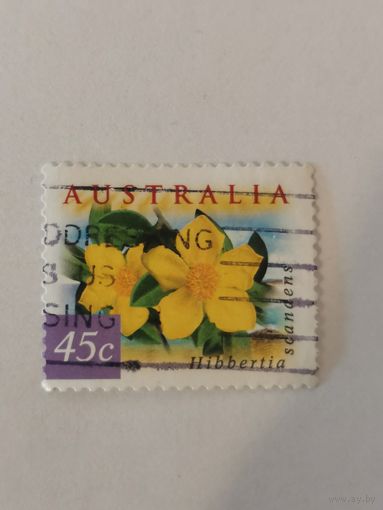 Марка из серии "Цветы Австралии" - Hibbertia scandens