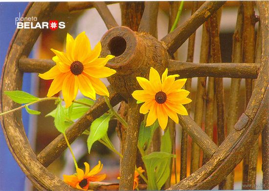 Планета Беларусь, Красота - в простых вещах, 2019, тираж 1000