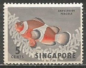 Сингапур. Рыбы. Оранжевый амфатрион. 1962г. Mi#56.