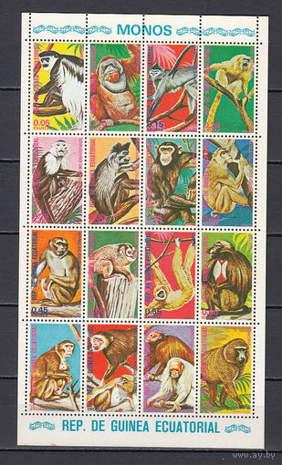 Фауна. Обезьяны. Зкваториальная Гвинея. 1975. 1 малый лист. Michel N 720-735 (7,5 е)