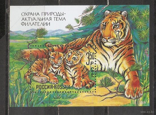 ФФ1 Россия 1992 Тигр