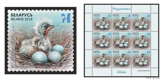 2018 БЕЛАРУСЬ  марка или малый лист  "Серая цапля" MNH