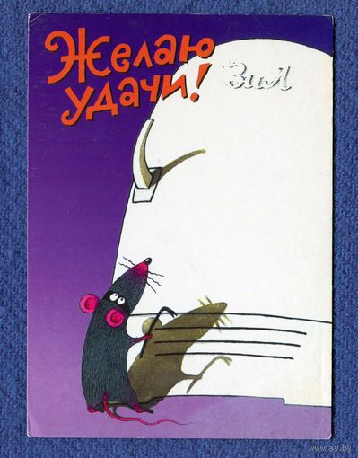 Трубников С. Желаю удачи! Изд-во "Нью-Тонъ" 2000-е годы, Чистая