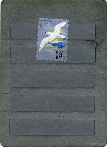 СССР, 1978, ЖИВОТНЫЙ МИР АНТАРКТИКИ, , 1м