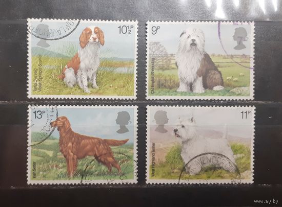 Великобритания. 1979 год. Фауна. Собаки (807)