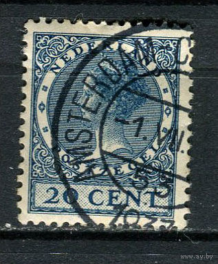 Нидерланды - 1924/1925 - Королева Вильгельмина 20С - [Mi.157A] - 1 марка. Гашеная.  (Лот 42Fy)-T25P33