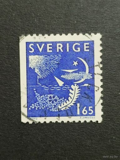 Швеция 1981. Ночь и день