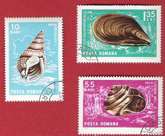 Румыния 1966 Моллюски