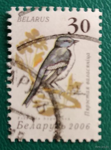 Беларусь Птица сада 2006