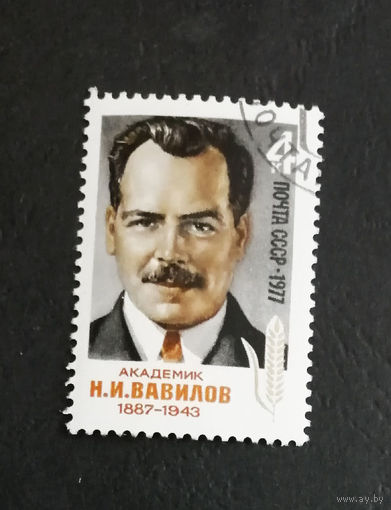 СССР 1977 г. Академик Н.И. Вавилов. Известные люди, полная серия из 1 марки #0360-Л1P20