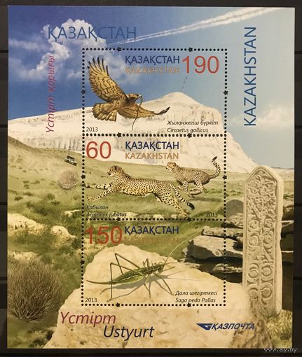 2013 Устюртский заповедник