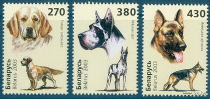2003. 520-522. Собаки**