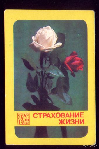 Две розы