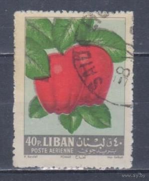 [2428] Ливан 1962. Флора.Фрукты.Плоды.Яблоки. Гашеная марка. 2