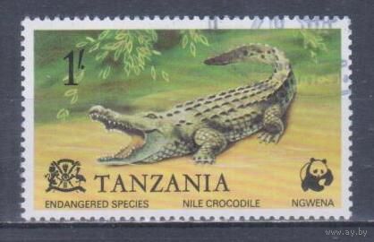 [865] Танзания 1977. Фауна.Рептилии.Крокодил. Гашеная марка.