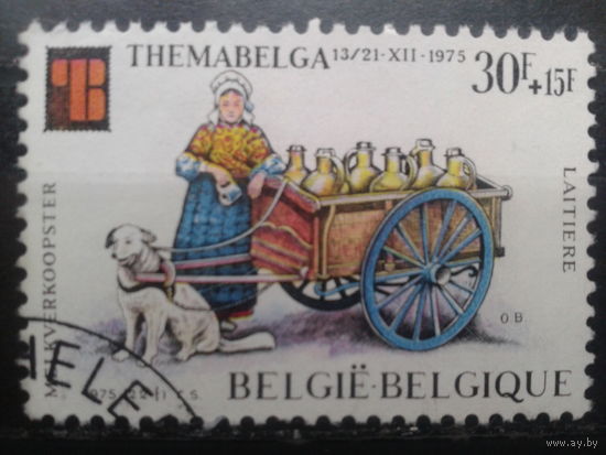 Бельгия 1975 Фил. выставка, собака концевая Михель-2,0 евро гаш