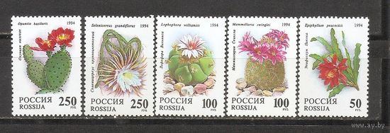 ФФ1 Россия 1994 Кактусы