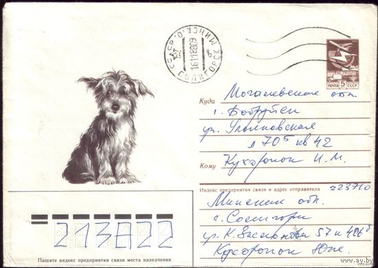 1986 год ХМК А.Исаков Щенок 86-379