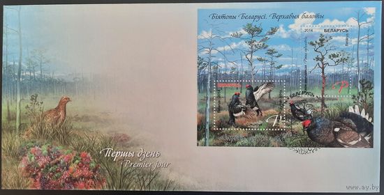 КПД. Биотопы Беларуси. Верховые болота. 2014 г.