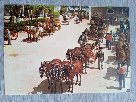 Этнография. Испания, Кадис. Ярмарка лошадей