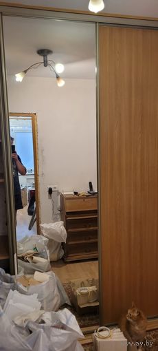 Зеркало от встроенного шкафа. Размер 247х68 см.