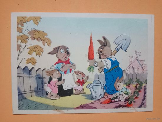 Открытка Бялковская,1956