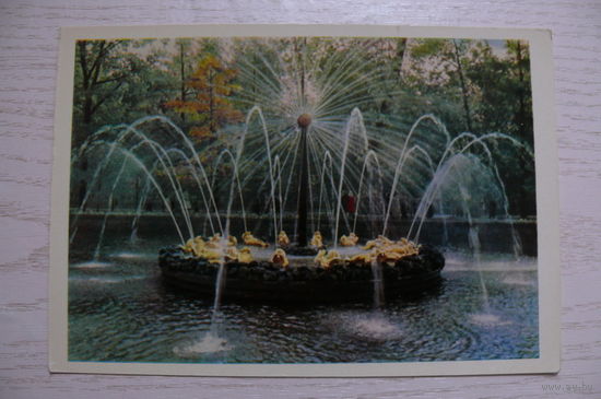 Петродворец. Фонтаны; 1964, чистая (размер 10*15).