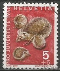 Швейцария. Ёжики. 1965г. Mi#826.