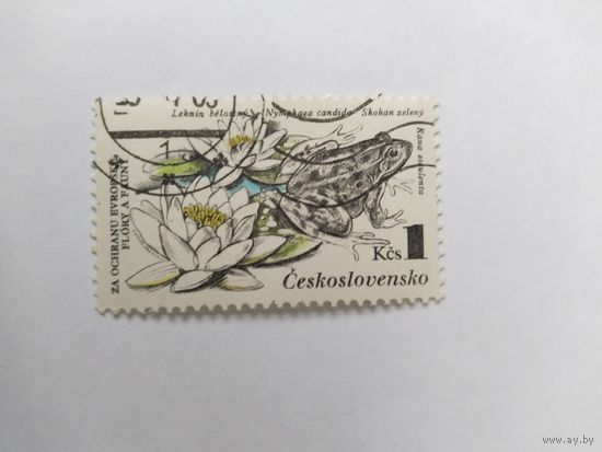 ЧССР  1983  лягушка