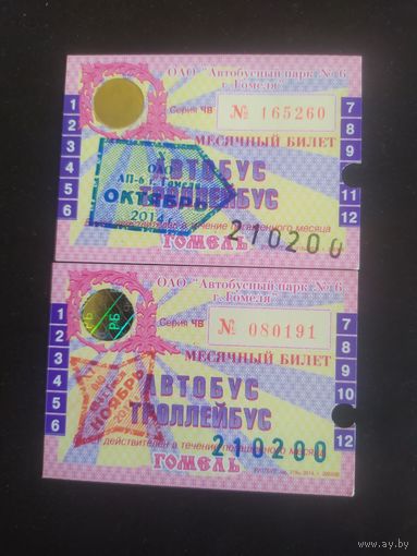 Месячные билеты Гомель 2014