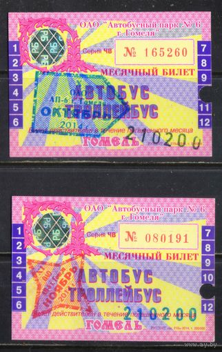 Месячные билеты Гомель 2014