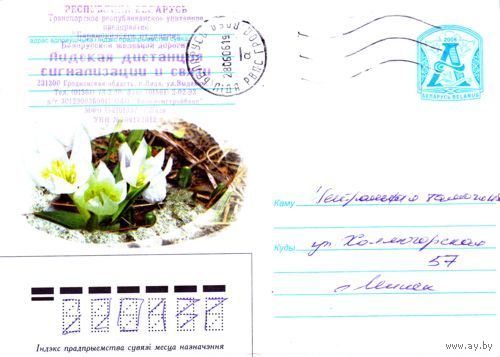 2006. Конверт, прошедший почту "Цветы: белые крокусы"