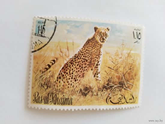 ОАЭ 1972   ягуар