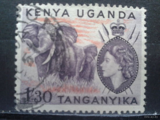 Кения Уганда Танганьика, 1954. Слоны и королева