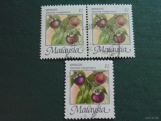 Малайзия. Флора.