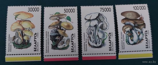 Беларусь 1999 Грибы