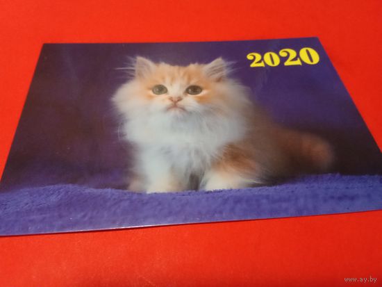 Календарик 2020г.