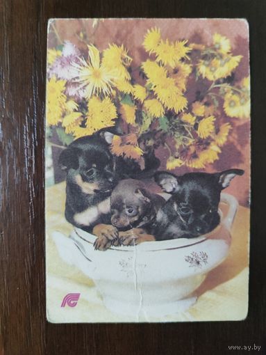 Календарик страхование