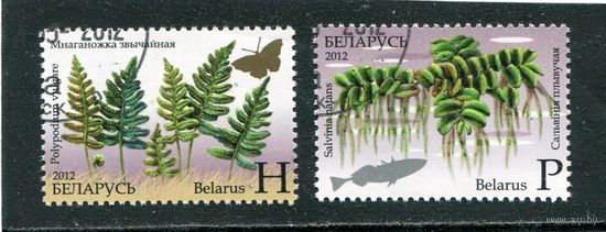 Беларусь 2012.. Флора. Исчезающие растения