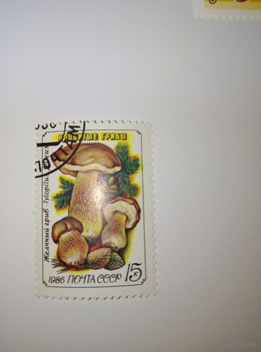Марки СССР 1986 г. Ядовитые грибы Желчный гриб 15к.