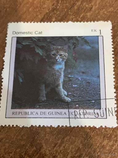Экваториальная Гвинея 1976. Домашние кошки. Domestic cat. Марка из серии